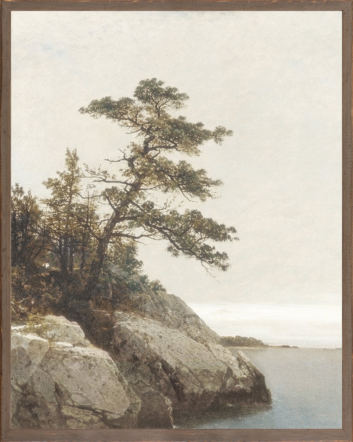 Print NORTHERN COLLECTION - The Old Pine, C.1872 - Large