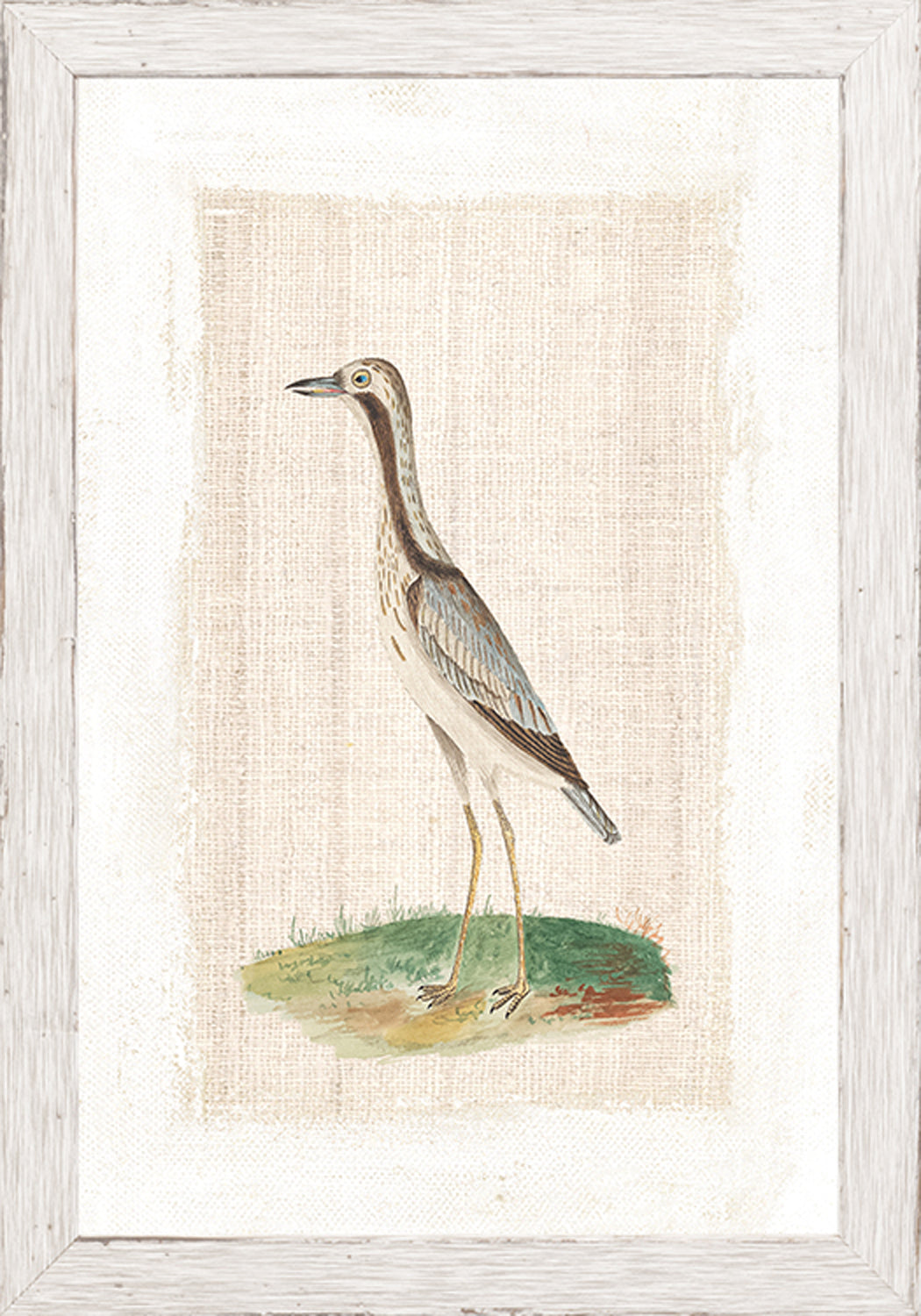 Print Watercolour Birds