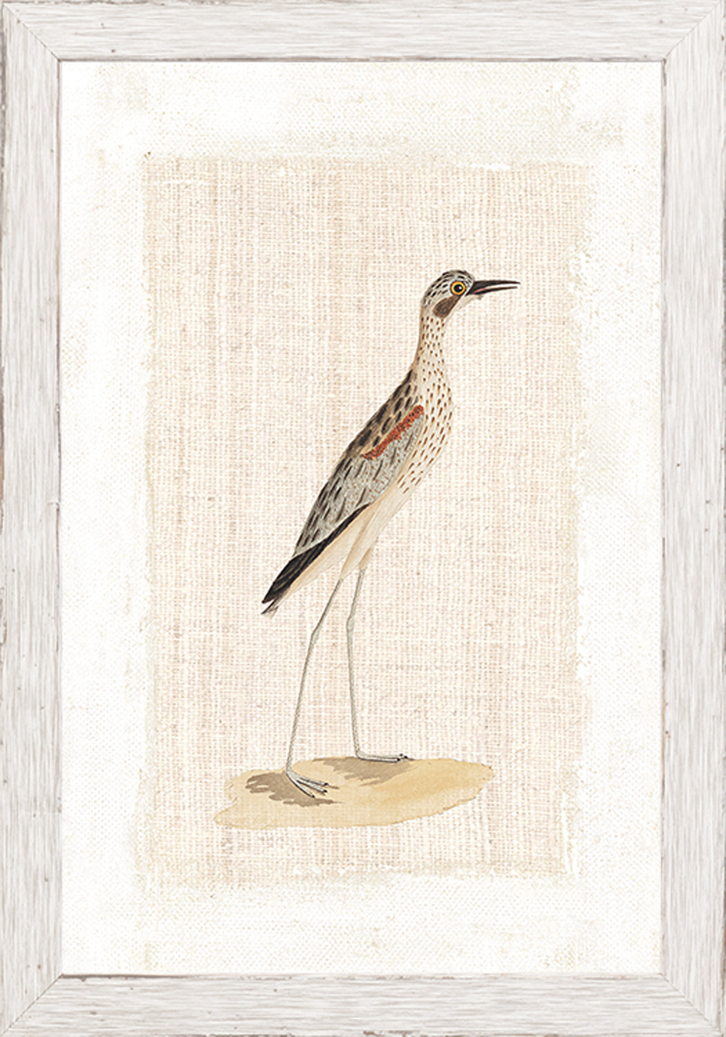 Print Watercolour Birds
