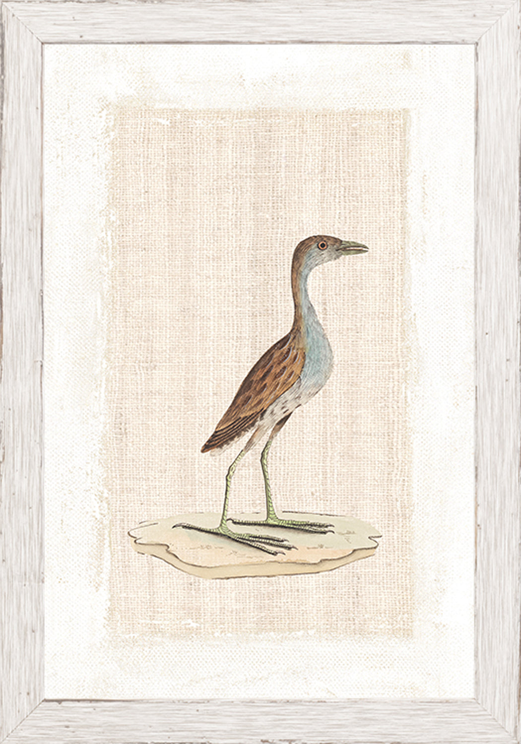 Print Watercolour Birds
