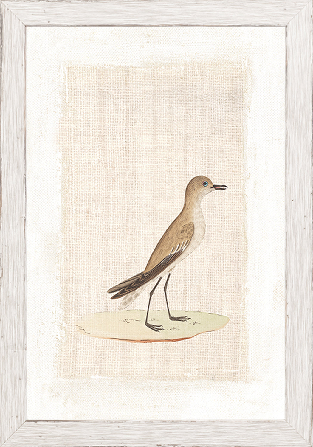 Print Watercolour Birds