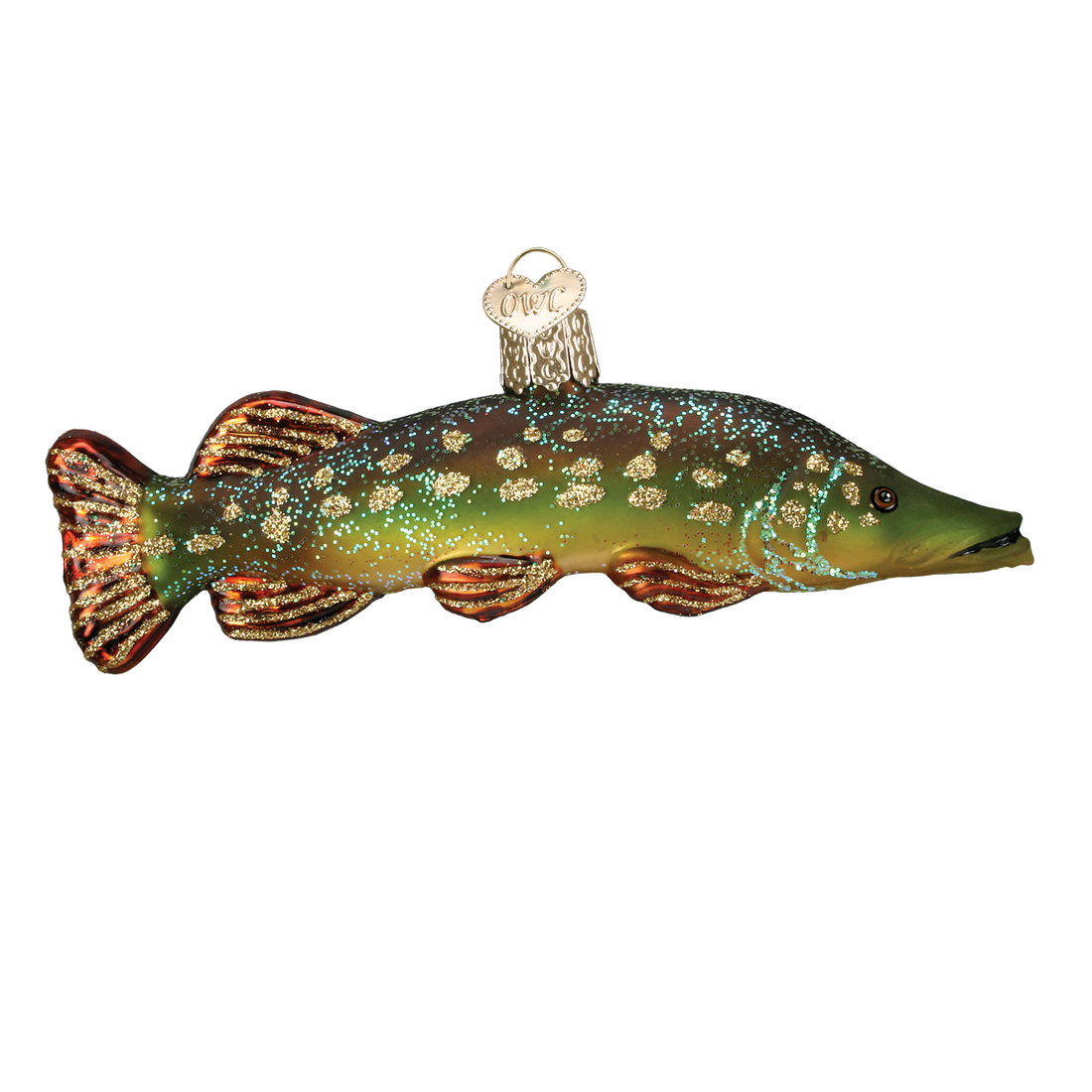 OWC Sea Life