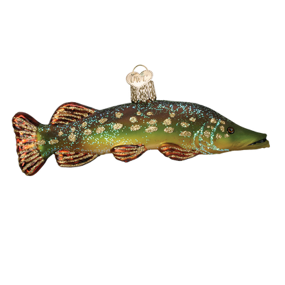 OWC Sea Life