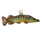 OWC Sea Life