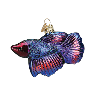OWC Sea Life