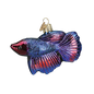 OWC Sea Life