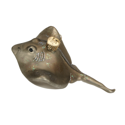 OWC Sea Life