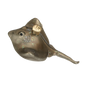 OWC Sea Life