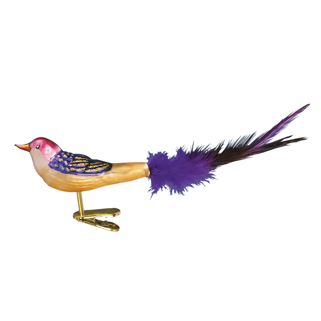 OWC Birds