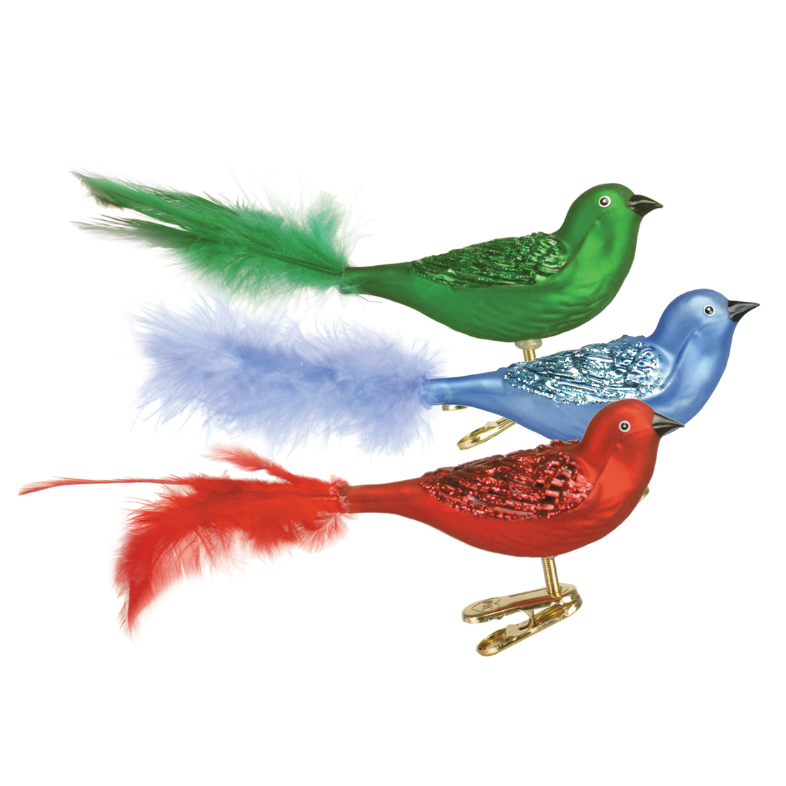 OWC Birds