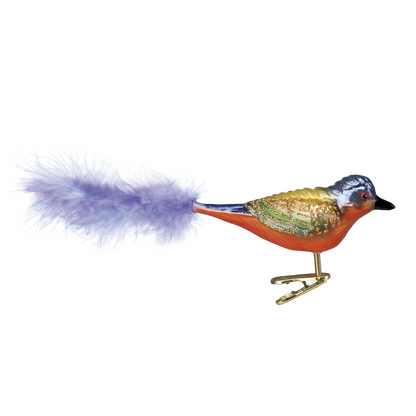 OWC Birds