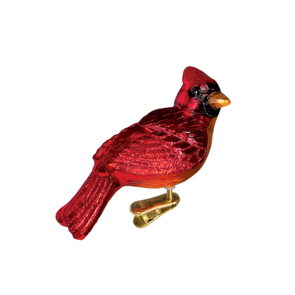 OWC Birds