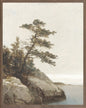 NORTHERN COLLECTION - The Old Pine, C.1872 - Large