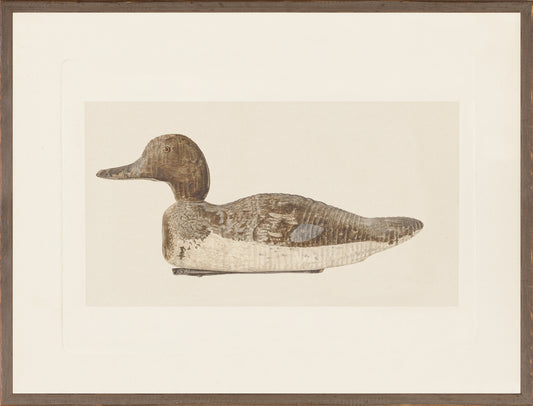 Print Northern Collection