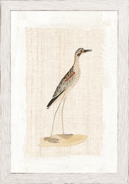 Wall Art Watercolour Birds