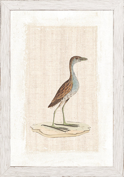 Wall Art Watercolour Birds
