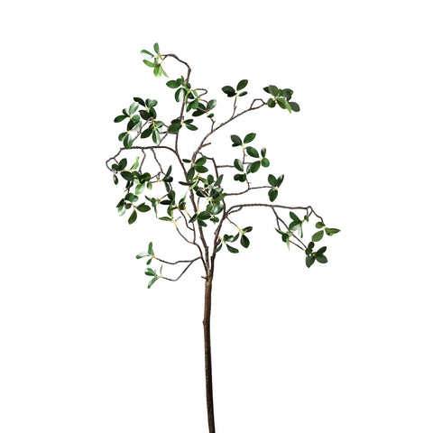 Photo of Grove Mini Leaf Branch 44