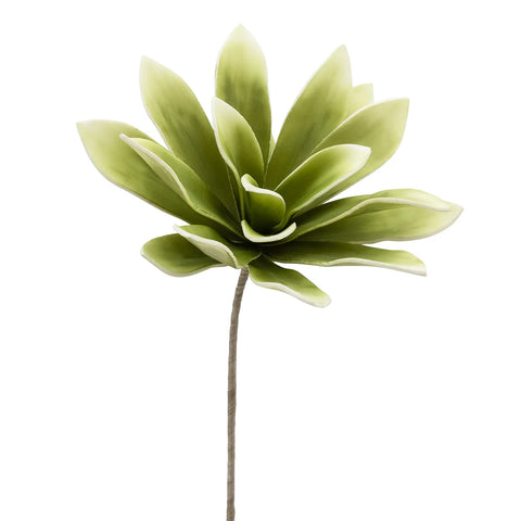 Photo of Succulent Agave Stem 31”