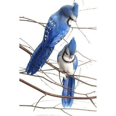 Ornament Clip On Blue Jay
