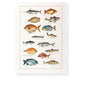 Kitchen Towel Made in Italy