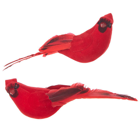 Photo of Clip on Cardinal 7”
