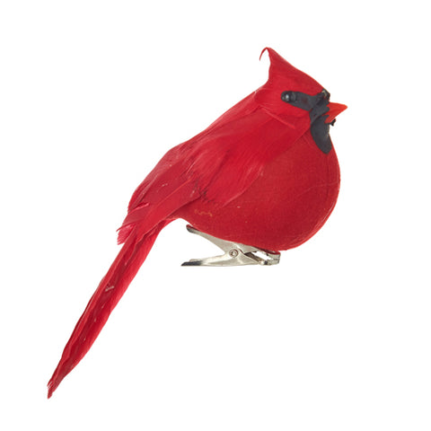 Photo of Clip-on Cardinal