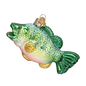 OWC Sea Life