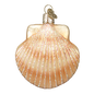 OWC Shells