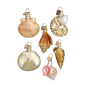 OWC Shells