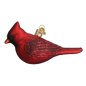 OWC Birds