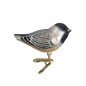 OWC Birds