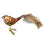 OWC Birds