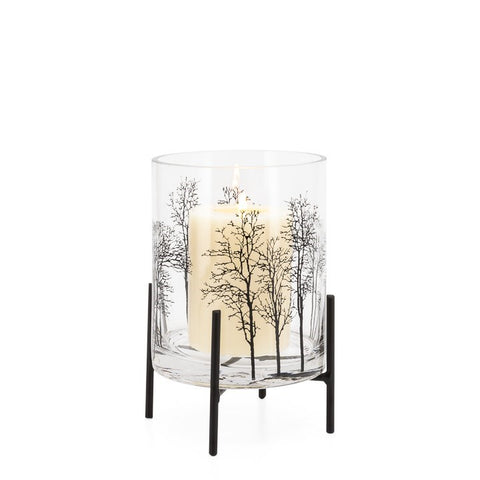 Photo of Vase Hurricane Aspen Tree Silhouette