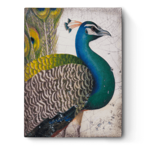 Sid Dickens Memory Blocks : A-L