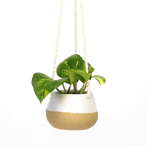 Photo of HANGING POT WHT/SPECKLES SANDSTONE BASE