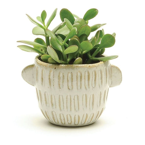 POT WITH HANDLES White