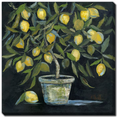 Photo of Lemon Tree