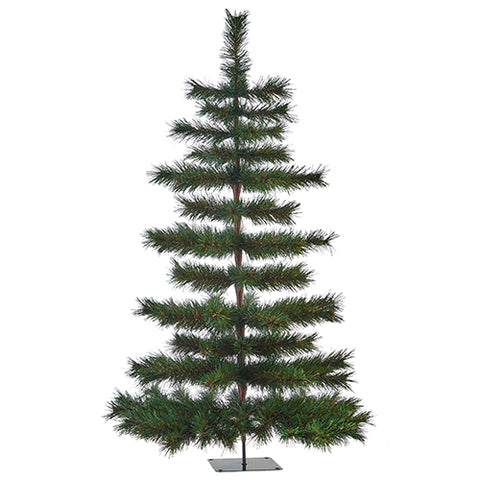 Photo of Cortina Pine Tree 4’