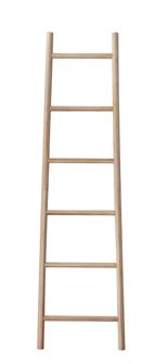 Photo of Ladder Bamboo