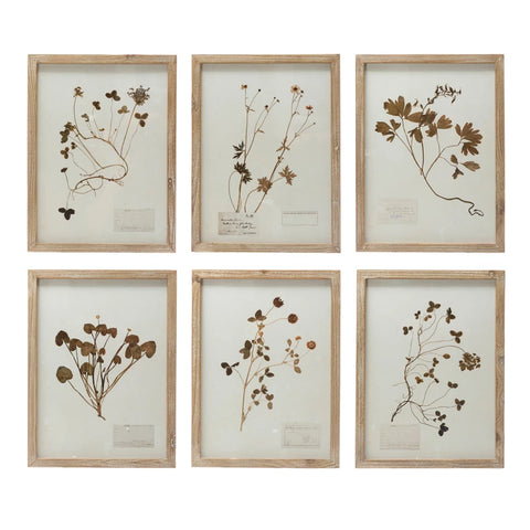 Photo of Botanical Prints 6 Styles