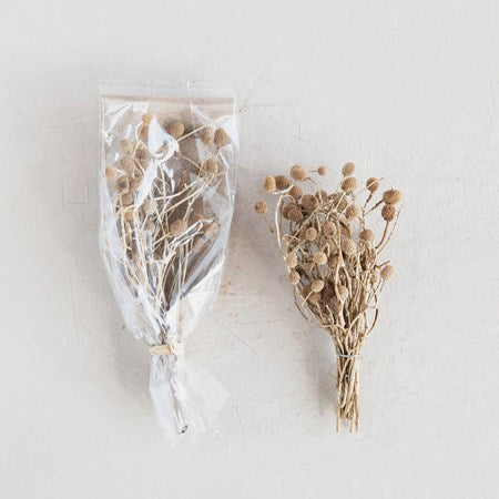 Photo of Dried Natural Bora Bunch